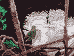 quilt photo